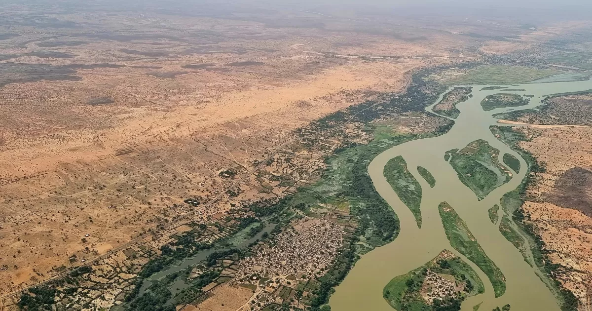 What are the optimum posting times for Niamey?