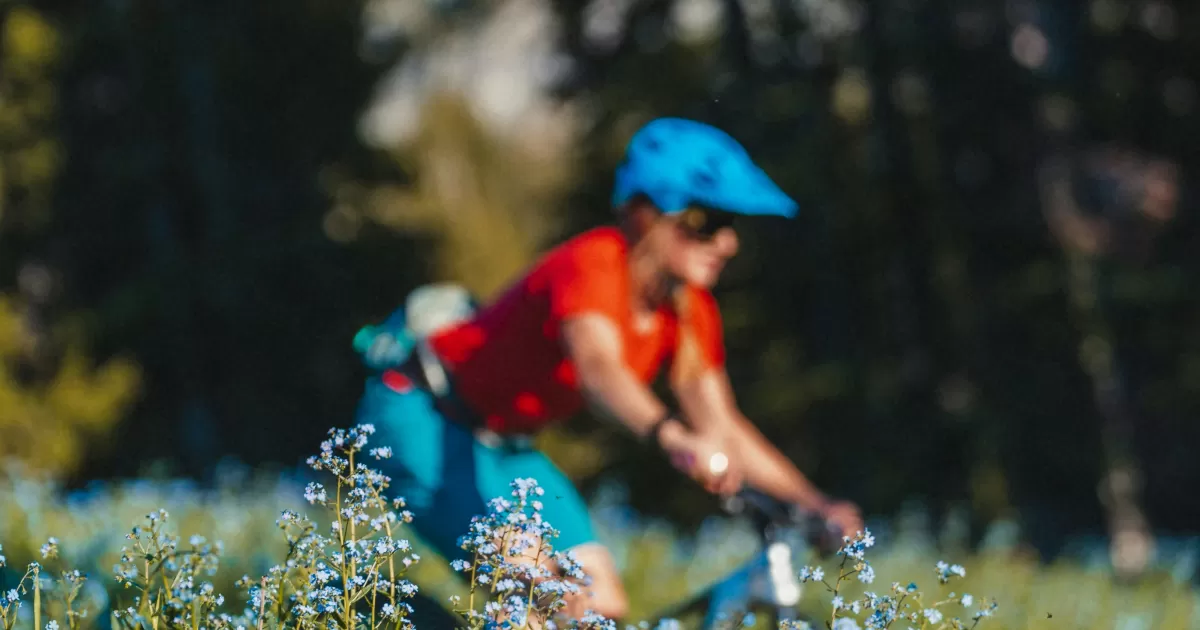 Wann ist die beste Zeit, um in Alta-Floresta Social Media zu posten?