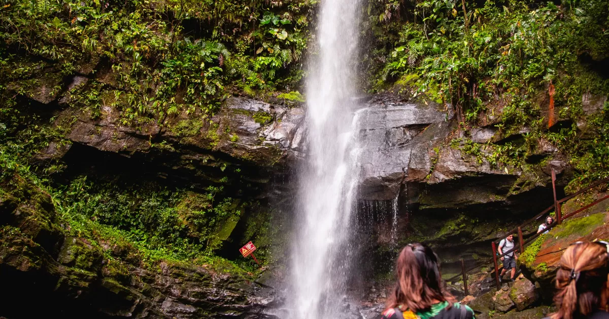 What are the best times to post on social media in Tarapoto?