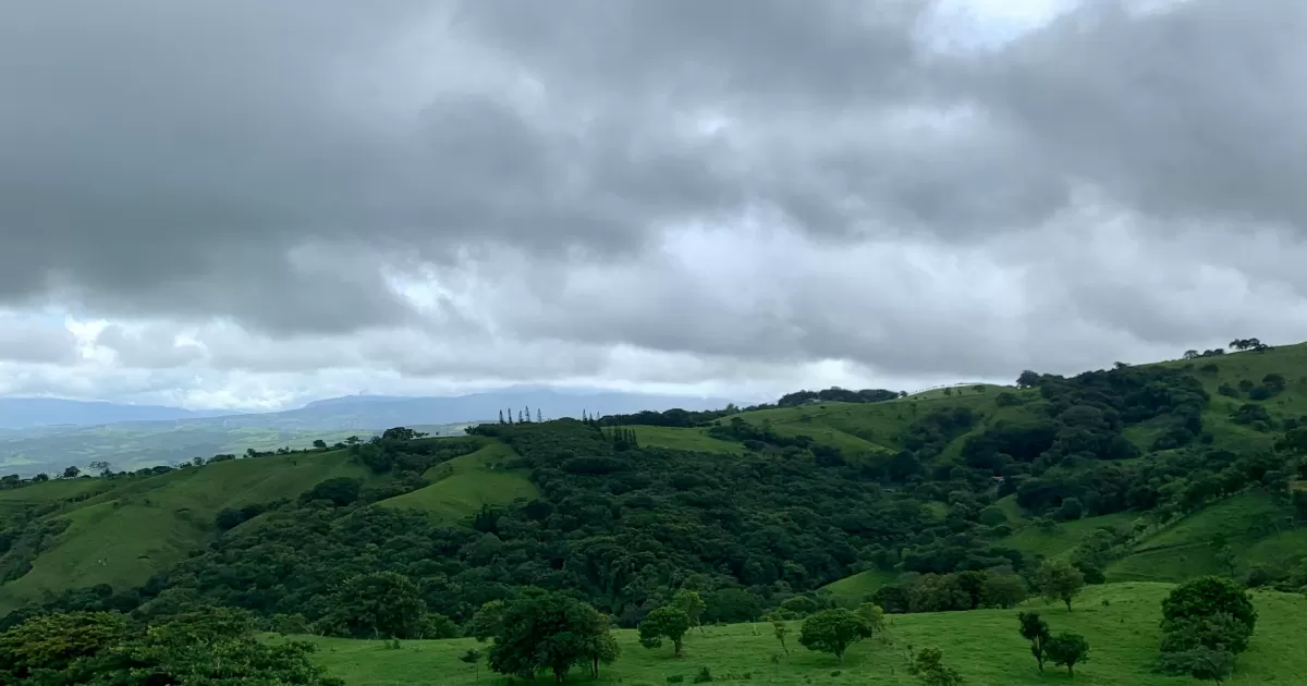 ¿Cuáles son los mejores horarios para publicar en redes sociales en Monte-Verde?