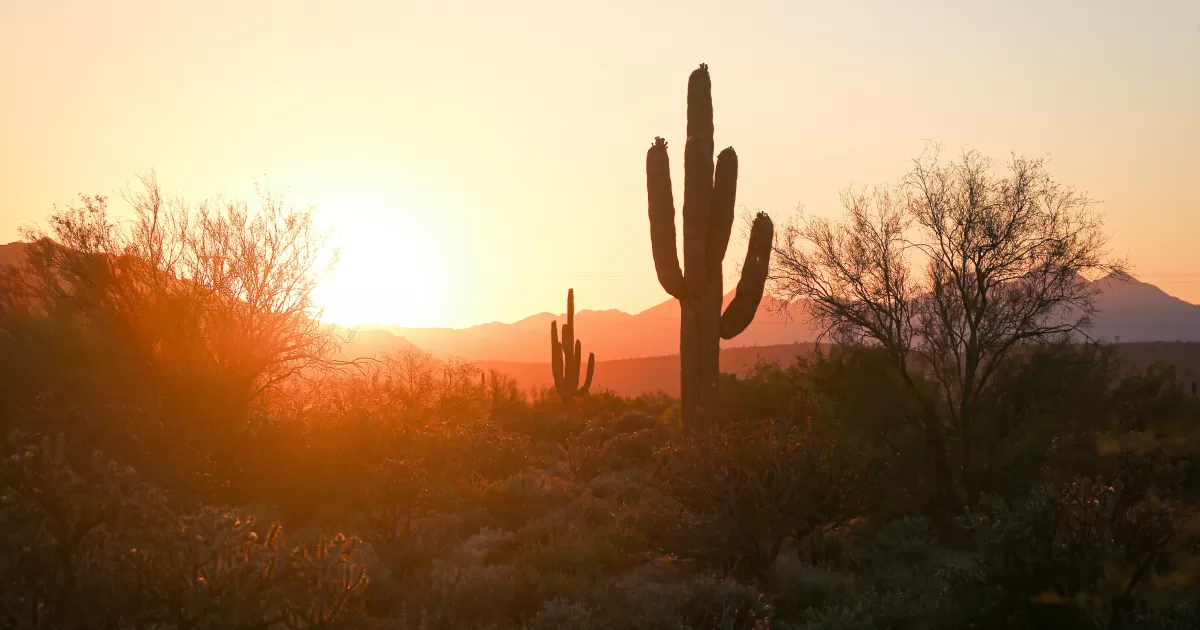 When is the best time to post on social media in Phoenix?