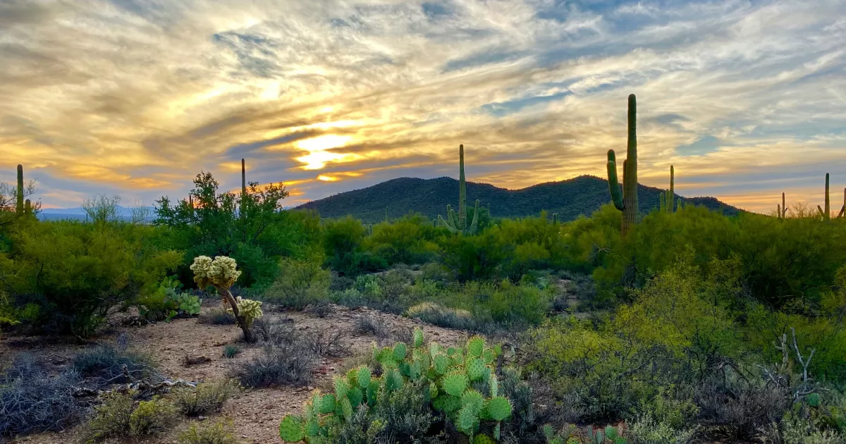 When is the best time to post on social social media in Tucson?