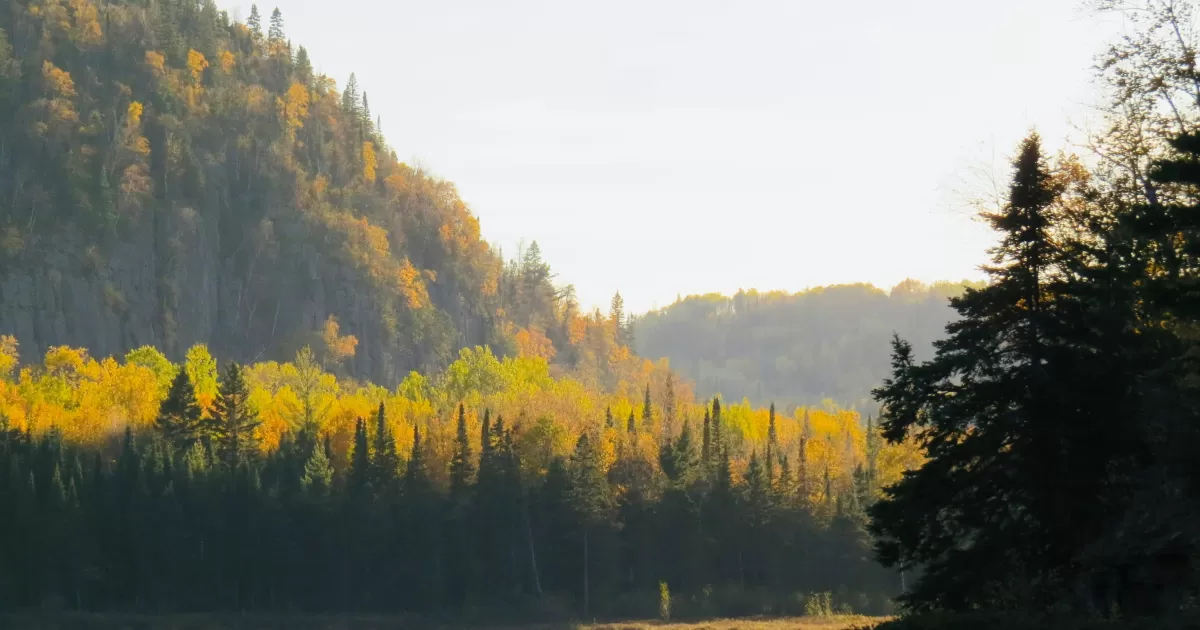 Quali sono i migliori momenti per postare sui social media a Thunder Bay?