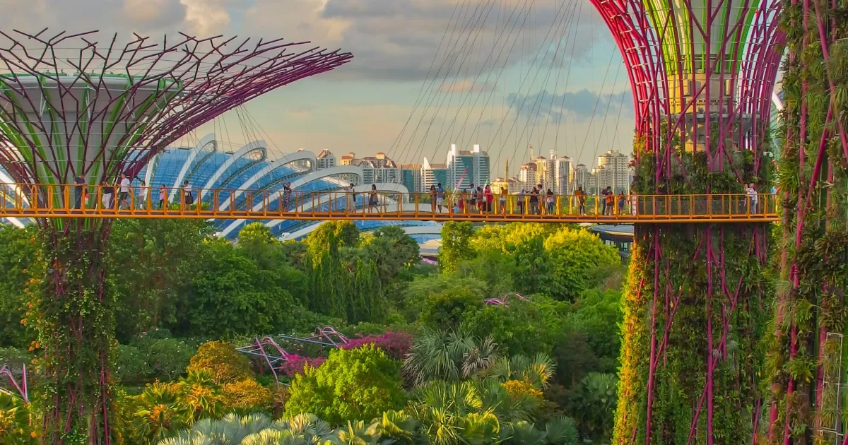 Singapur'da sosyal medyada ne zaman gönderi yapılmalı?