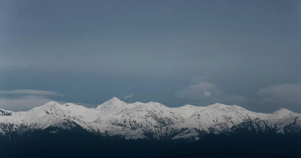 Quali sono i migliori orari per postare sui social a Telavi?