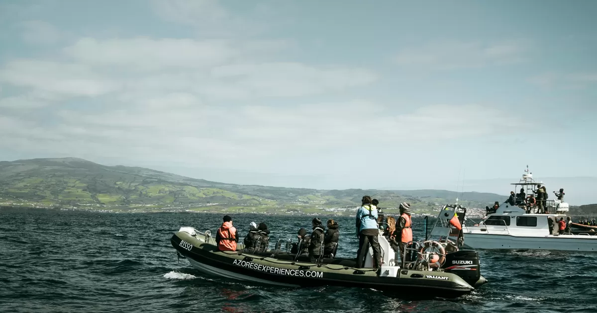 Wann ist die beste Zeit, um in Faial-da-Terceira Social-Media-Posts zu veröffentlichen?