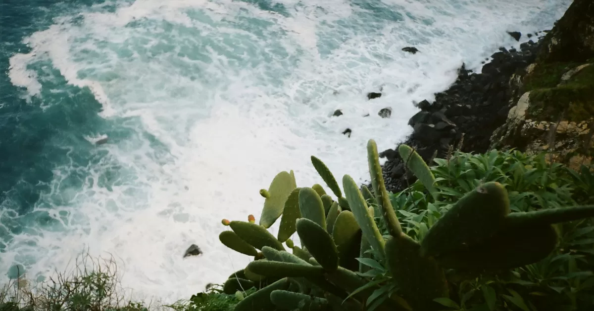 Quels sont les meilleurs moments pour poster sur les réseaux pour Madeira-tallships?