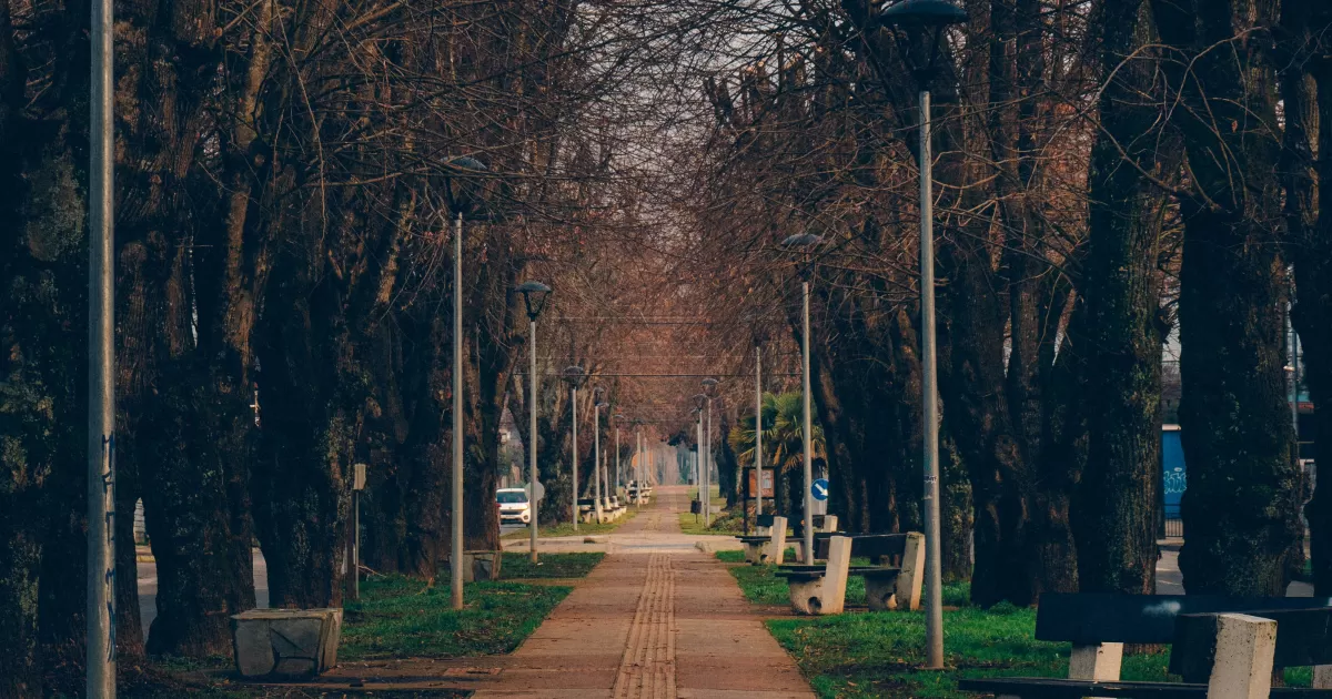 ¿Cuáles son los mejores horarios para publicar en redes sociales en Vereda?