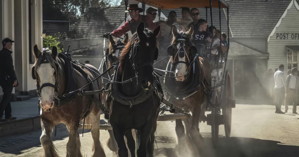 When are the prime times to post on social media in Ballarat?