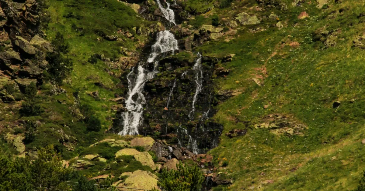 Какое время лучше всего для публикаций в соцсетях для 'Ordino'?