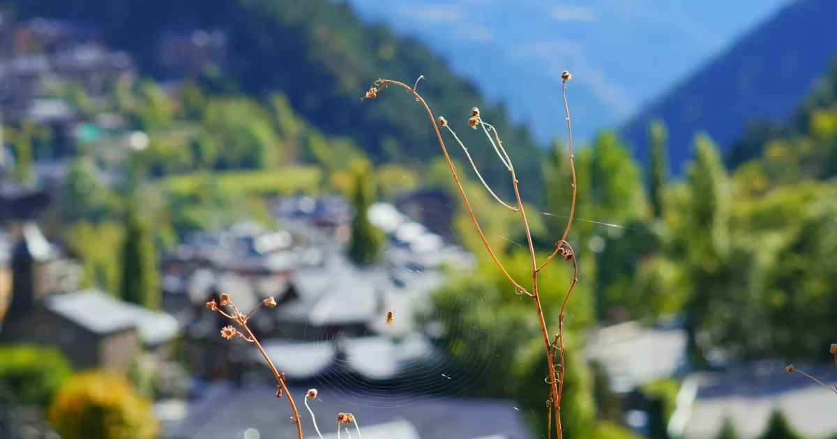 Qual è il miglior momento per postare sui social media ad Andorra-la-Vella?