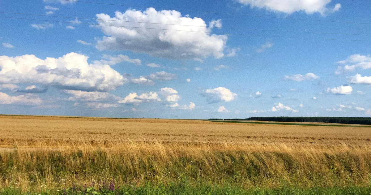 Wann ist die beste Zeit, in Radekhiv auf Social Media zu posten?