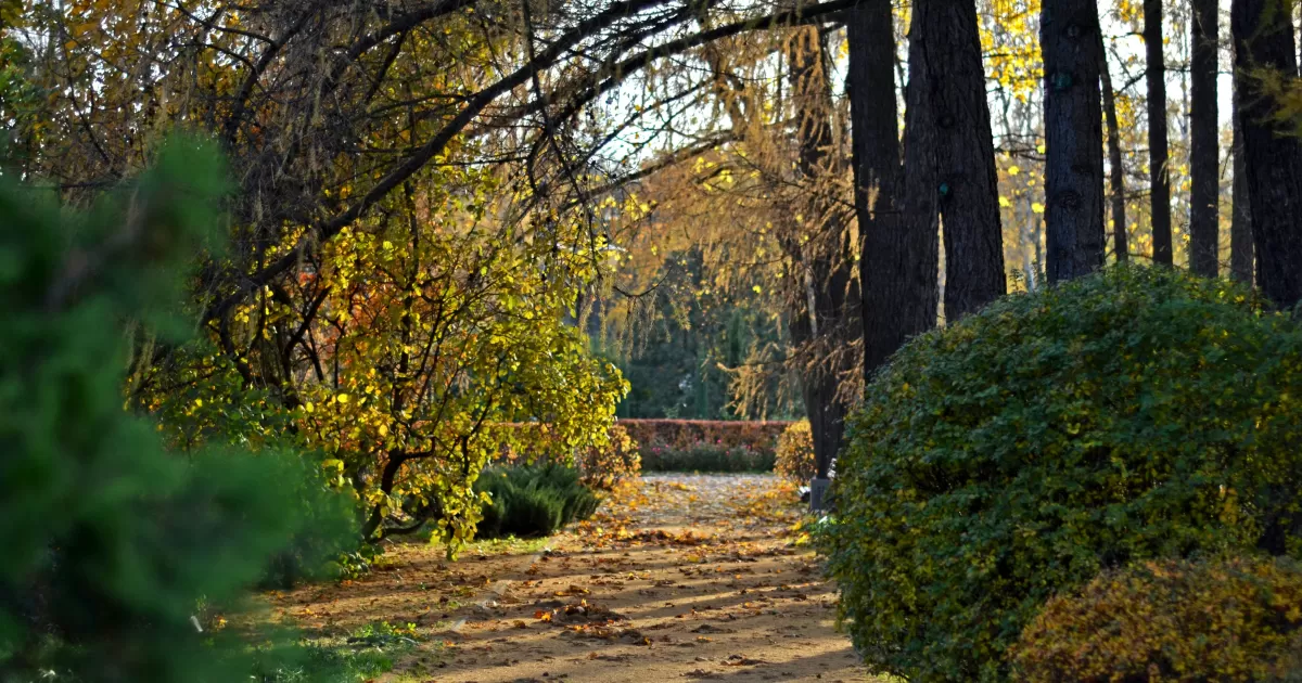 ¿Cuáles son los mejores momentos para publicar en Sokolniki?