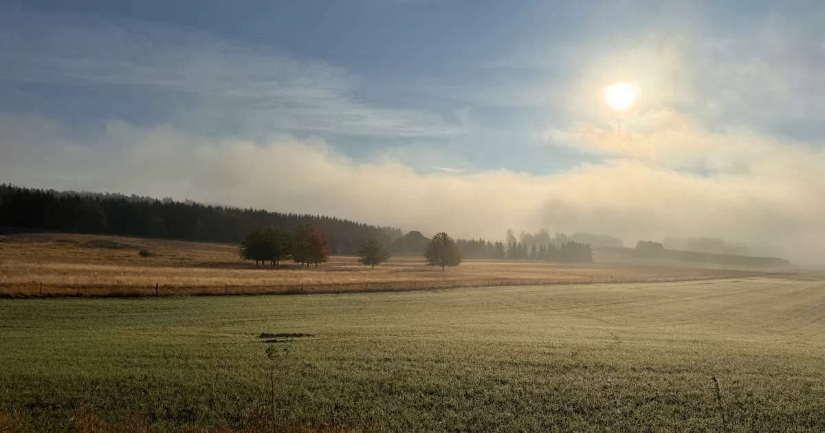 What is the best time to post on social media in Upplands-Vasby?