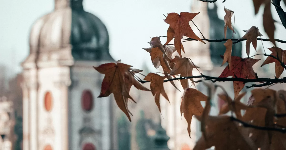 Qual è il miglior momento per postare sui social media a St-Gallen?