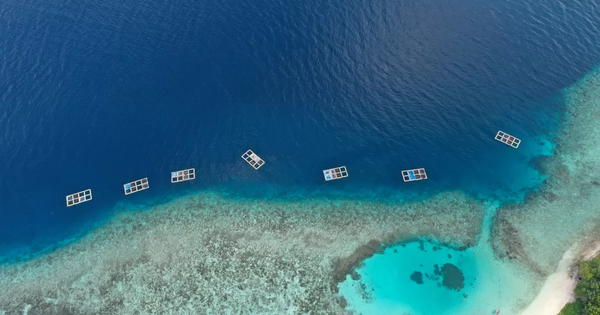 Wann ist die beste Zeit, um in Mahibadhoo auf Social Media zu posten?